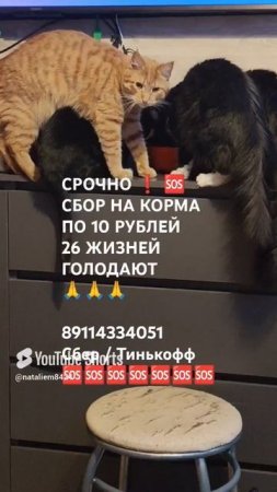 ПОМОЩЬ ПРИДИ 🙏🆘