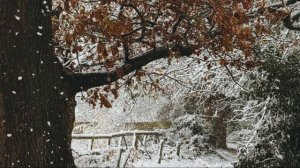 Все начинается с любви…
стихотворение