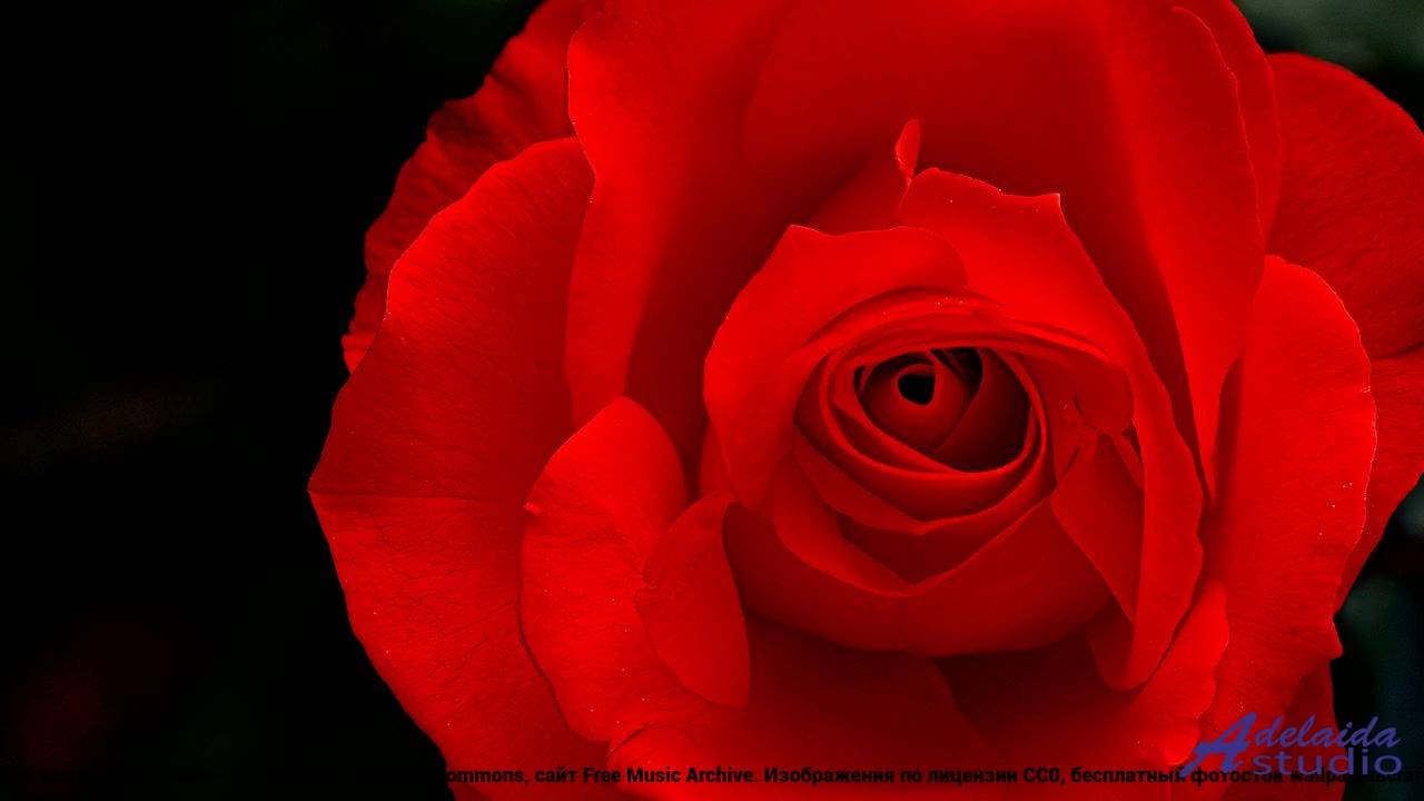 ❤❤❤ Ритм, заставляющий двигаться - 01 A Mosaic of Moments -- Maxim Novak -- Best of 2024. Listeners
