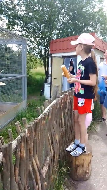 15 июня 2022 г. смотреть онлайн