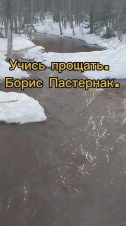 Учись прощать. Борис Пастернак