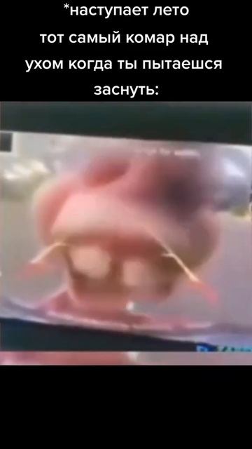 Комары скоро придут😁 #юмор #приколы #комары #жужжат #достали смотреть онлайн