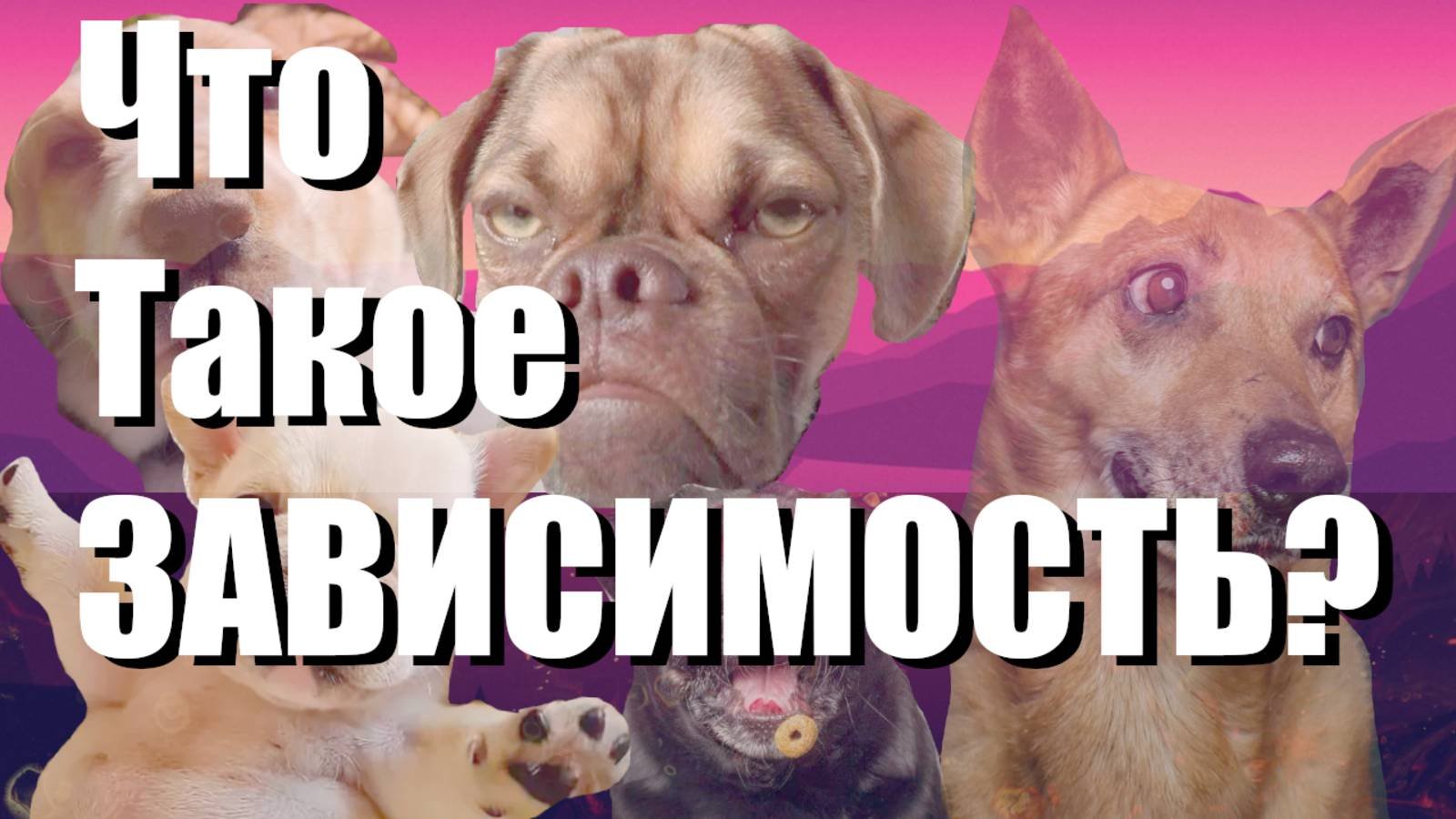 Что Такое ЗАВИСИМОСТЬ?