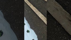 Новости со стройки