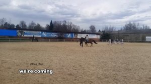 Галоп на лошади