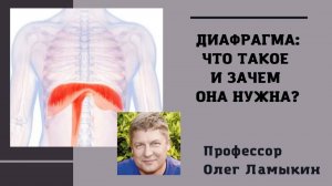 Диафрагма. Что такое и зачем она нужна? Проф. Ламыкин О.Д.