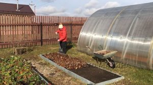 Что делать с листьями в саду осенью. Зачем нужны листья.