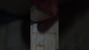 зимовка пчел в омшанике