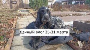Дачный влог 31 марта