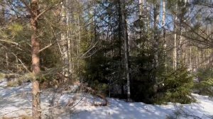 Участок у реки Вздериножка д.Коведяево