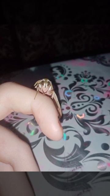 Милый мотылёк😍#shorts смотреть онлайн