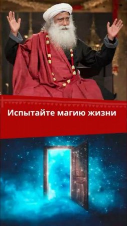 Испытайте магию жизни