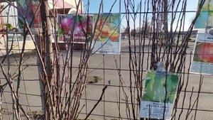 Саженцы 3.mp4