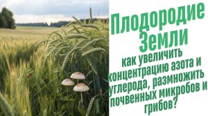 Питательные вещества в растениях и почве.