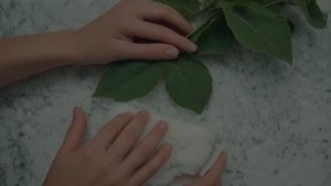 Вредители комнатных растений - Уход за комнатными цветами