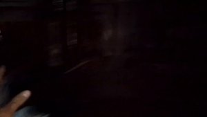 Плюсы минусы гусят