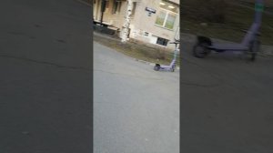 По Товарищескому пр