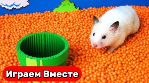 Лабиринт для Хомяка! Умный хомяк выбирается из МАЙНКРАФТ ЛАБИРИНТА с Персонажами из ИГРЫ в КАЛЬМАРА
