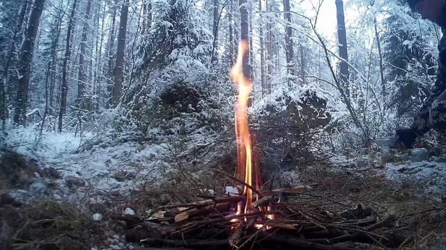 Поход в лес и тестирование экшен камеры SJ1000 смотреть онлайн