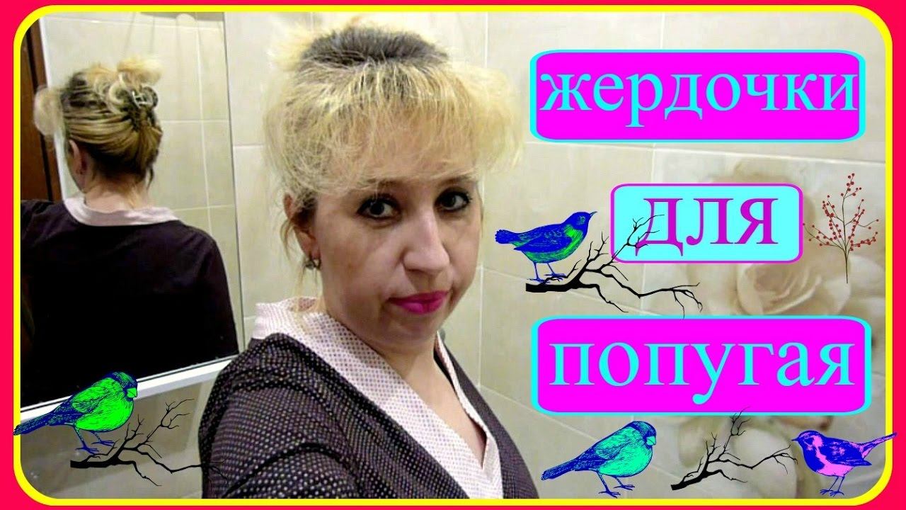 Жердочки для попугая//Погрызушки//Веточки в клетку//Уход за попугаем