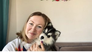 Новенькая в питомнике! 
Наша первая девочка Помски 🐶