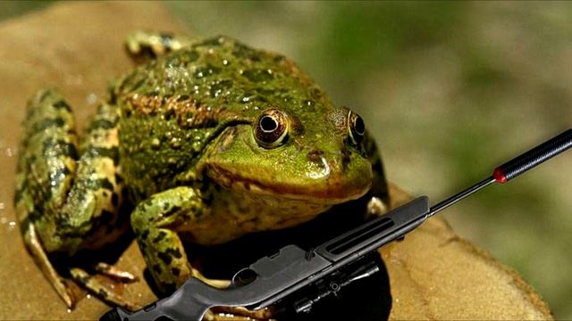 flex warface RYTP+minisraft смотреть онлайн