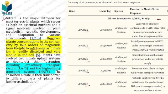 CSIR-NET FEB 2022 Solved Questions: SHIFT 2 || Plant Physiology