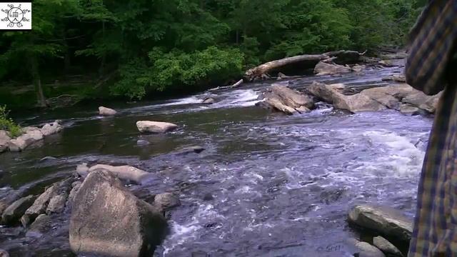 Uncle Steve Continues With The Gulp Cricket смотреть онлайн