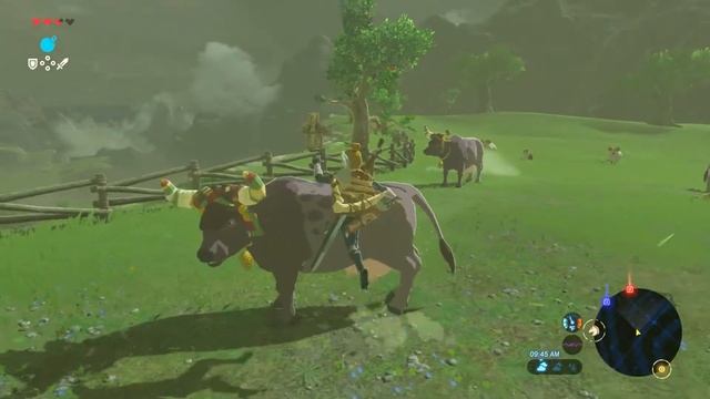 The Legend of Zelda: Breath of the Wild[7]: Old sheikah loli scientist