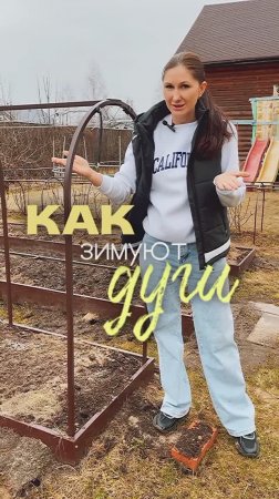 Друзья, очень часто  поступает вопрос: как зимуют дуги?