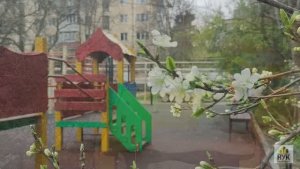2025-04-04 Будни УК НУК выпуск 011