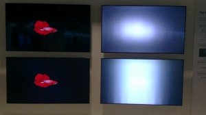 Local Dimming: FALD vs Edge LED Dimming, demo 2