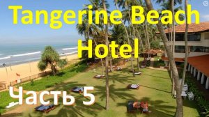 Обзор отеля TANGERINE BEACH 4* (Шри Ланка) - Часть 5. Развлечения и досуг