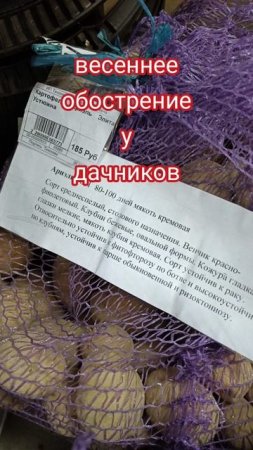 Посадочная "лихорадка"началась