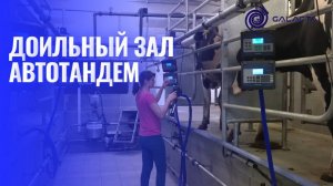 Доильный зал «АВТОТАНДЕМ 2х3» с командоконтроллерами Kompas 500. ООО ГАЛАКТА