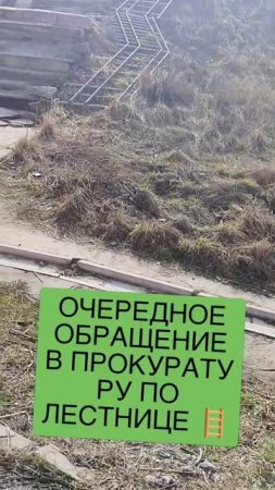очередное обращение в прокуратуру сго по поводу лестницы 🪜 у путепровода 🛤️
