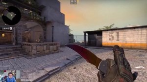 Specialist Gloves Buckshot - Skin Kombinationen