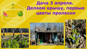 Дача 3 апреля. Делаем крышу, первые цветы пролески. Дачные хлопоты магаданцев в Рязани. 7 серия