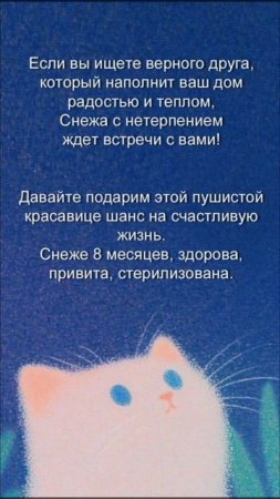 💗 🏡 Пушистая девочка Снежа ищет свой дом! 🐈 💗