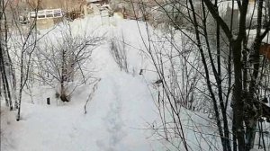 сад зима 2024