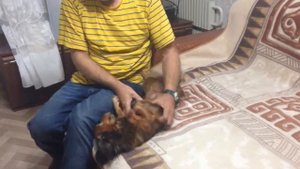 Лиза папу встречает