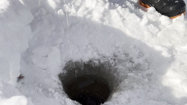 проверка подледных жерлиц на щуку №5 смотреть онлайн