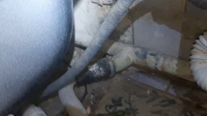 Замена разводки воды и установка унитаза !
