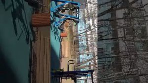 Приседания 100кг