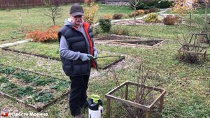 Чем опрыскать деревья и кустарники в саду осенью.