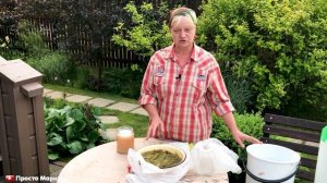 Обработка растений от тли.