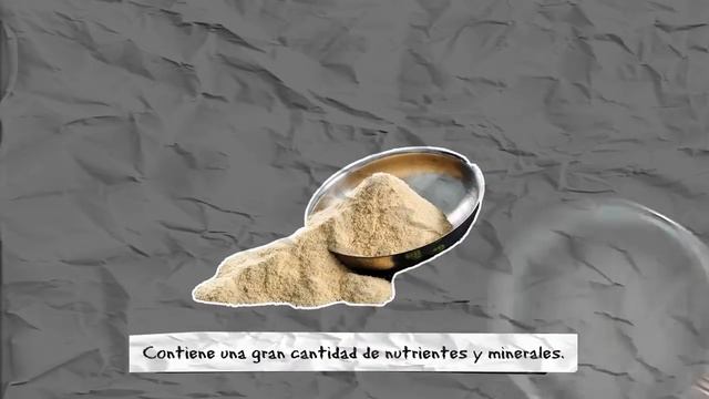 Alimento para perros BELCANDO – Vídeo sobre el alimento sin cereales para perros