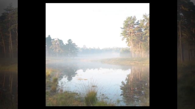 Нас тянет к тем,кто душу обнимает смотреть онлайн