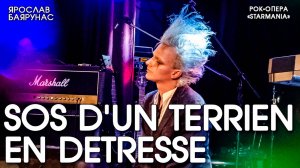 Ярослав Баярунас - SOS d’un terrien en détresse (рок-опера «Starmania»)