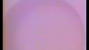 Телекомпания ВИД (1990-1997) Заставка (Вау-вау)